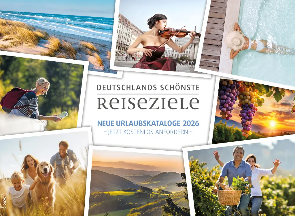DSR_12-2025_Bams Titel.webp