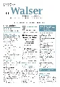 Der Walser Titel.webp