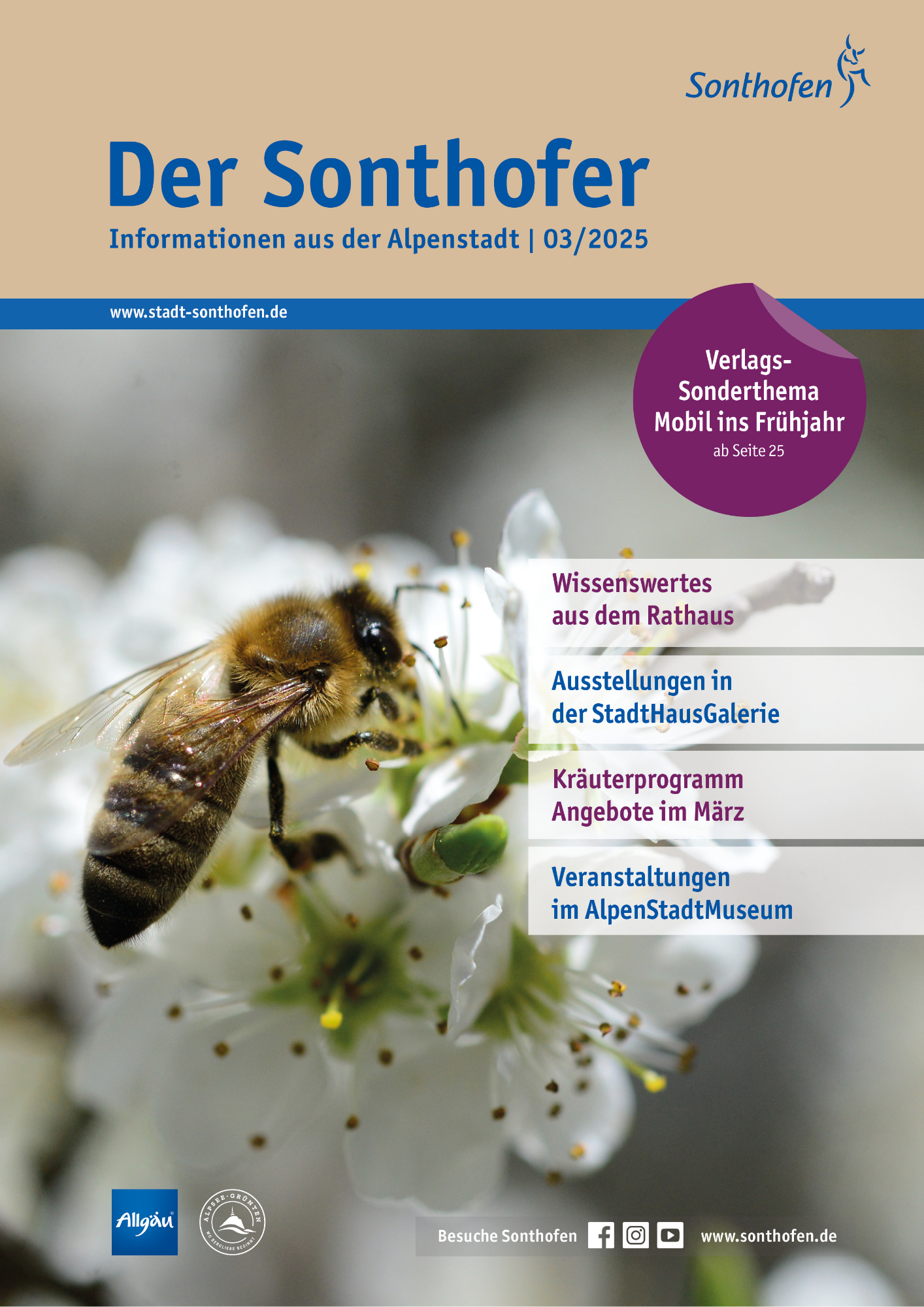 Stadtmagazin Der Sonthofer "Jobbörse" – Bild 5